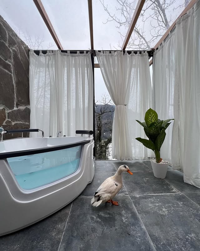 Hot Tub View